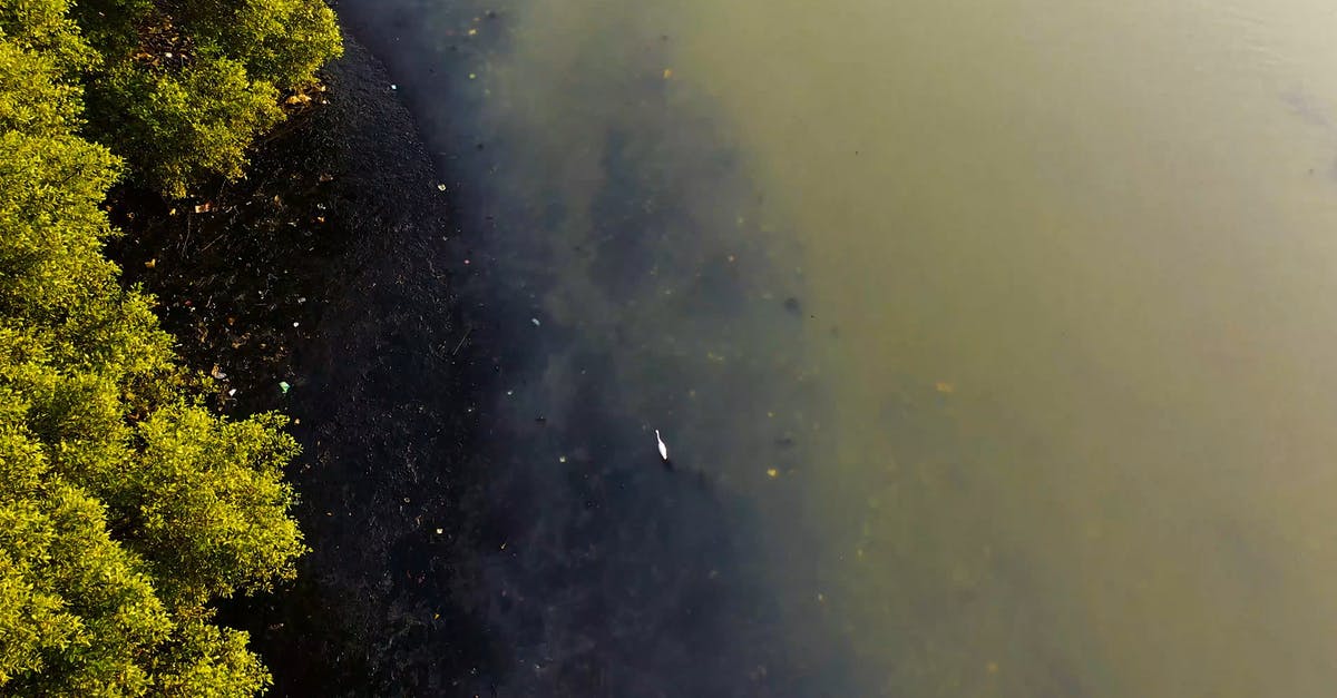 2980973|空中俯拍污染的水源CC0视频素材插图