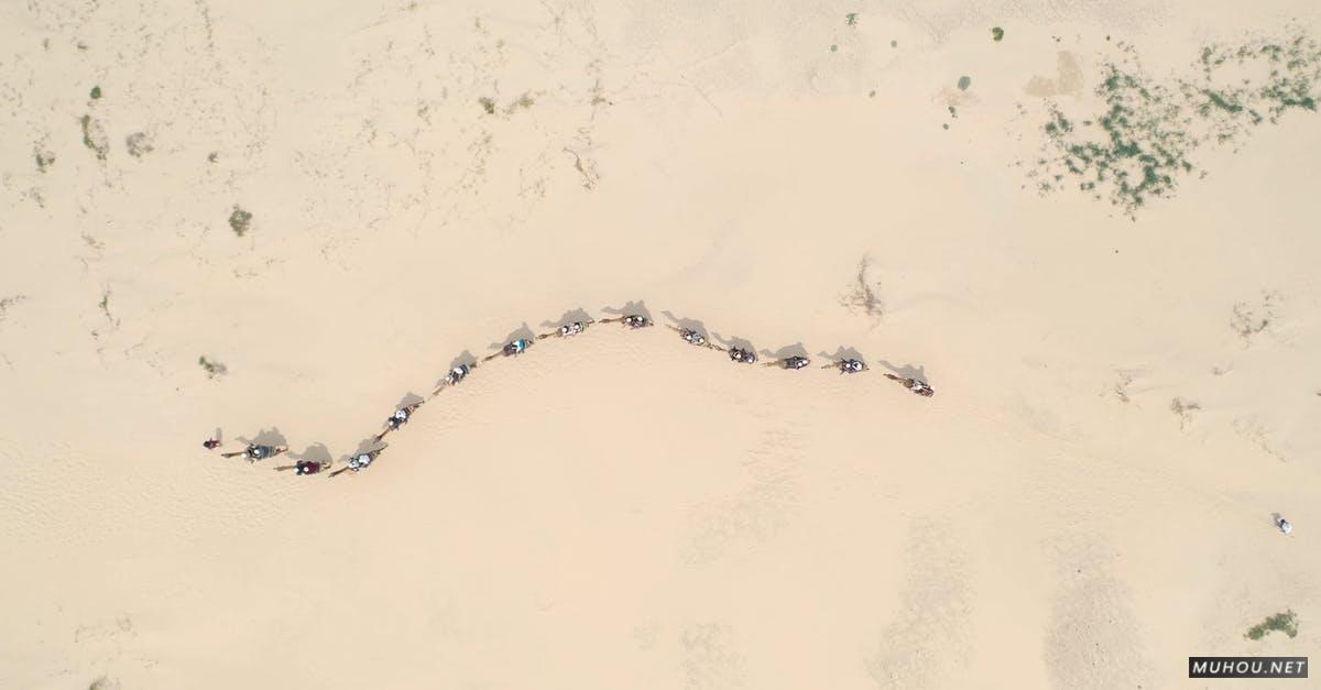 3333417|航拍沙漠中的骆驼队线条4KCC0视频素材插图