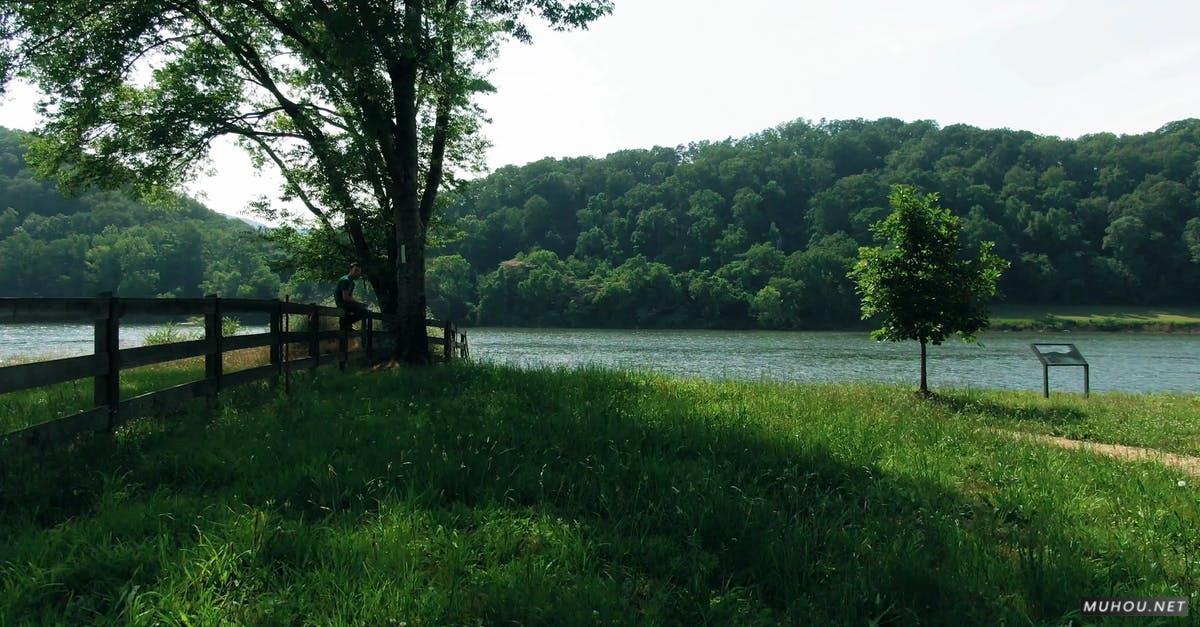 2430827|航拍男人在湖边绿色草地上4KCC0视频素材插图