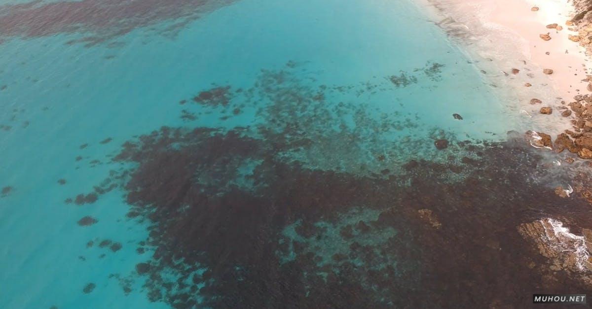 3333747|澳大利亚岩石海岸线岸边CC0视频素材插图