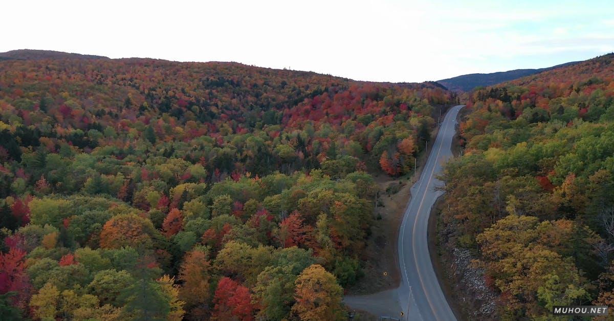 3173394|航拍山谷中的道路4KCC0视频素材插图