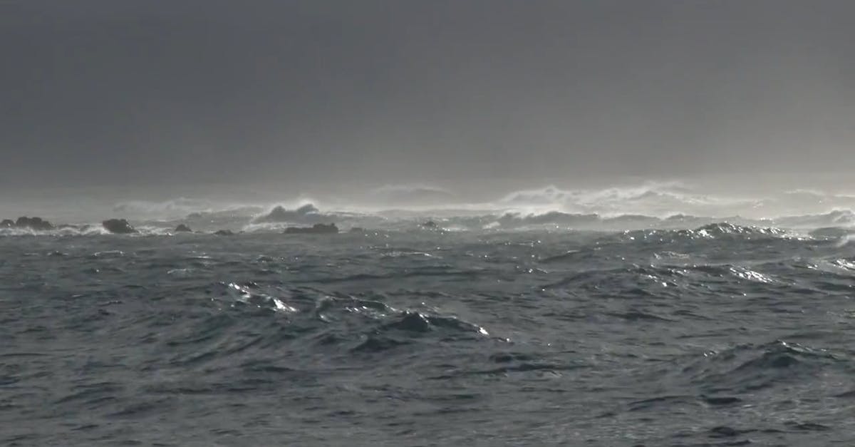1879456|台风的海绵冲浪HDCC0视频素材插图