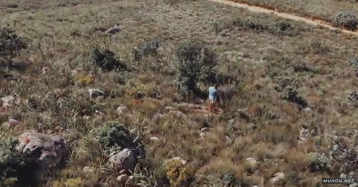 3327403|有关情侣户外山丘拥抱的CC0视频素材插图