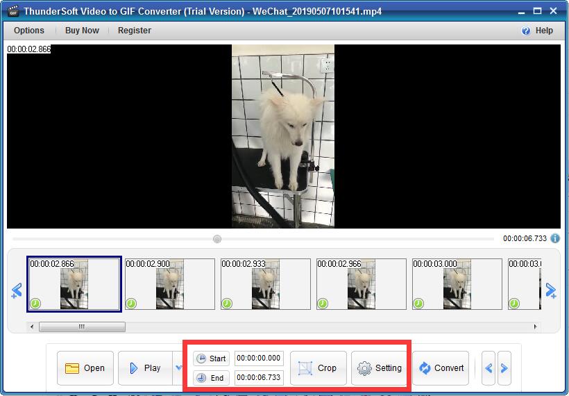 视频转GIF工具 ThunderSoft Video to GIF Converter 2.9 WIN破解版免费下载