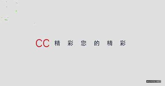 【全家桶】赢政天下 ADOBE CS6 WIN大师版 SP一键安装 无需破解 免费下载插图10