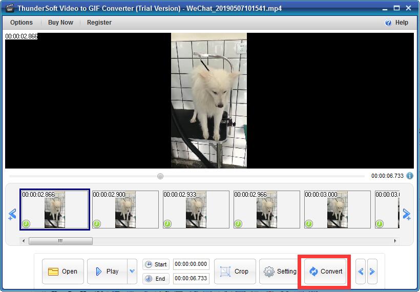 视频转GIF工具 ThunderSoft Video to GIF Converter 2.9 WIN破解版免费下载