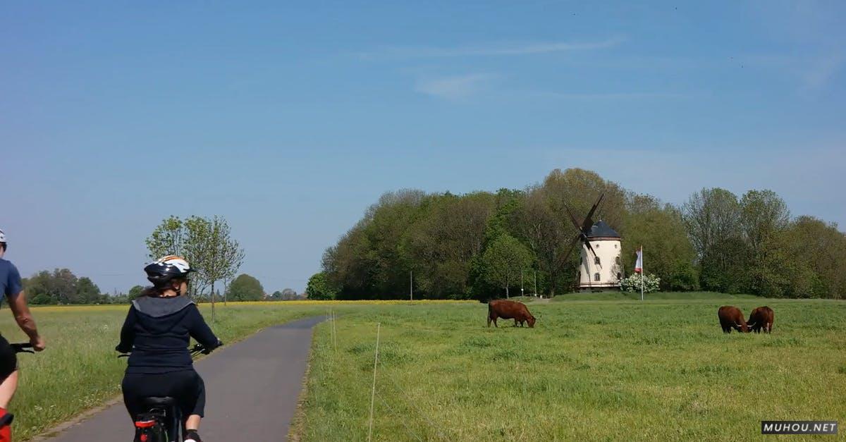 856036|自行车骑士骑乘在道路上,路边有树木, 牛, 田, 风车景观的CC0视频素材插图