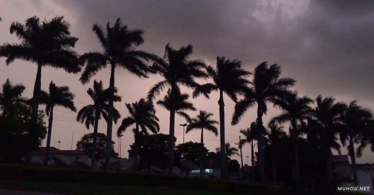 1575721|暴风雨台风到来天空布满阴霾的CC0视频素材插图