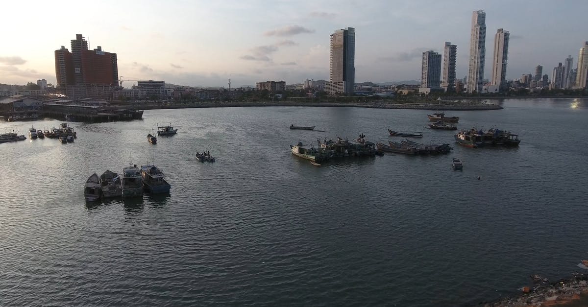 3573418|城市的码头航拍海岸线4kCC0视频素材插图