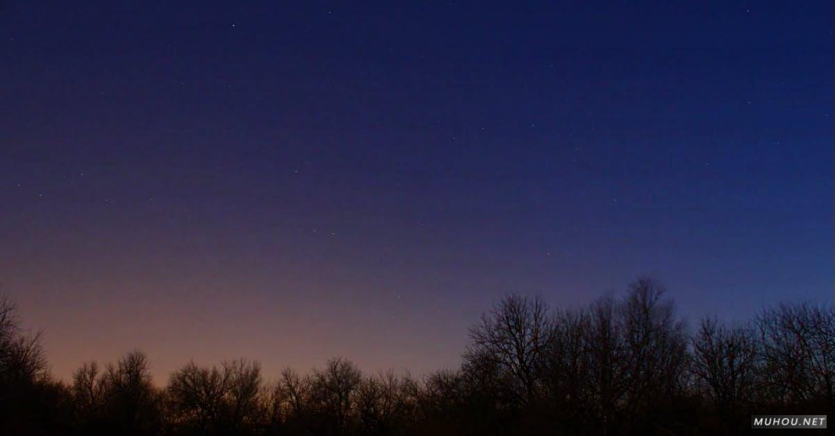 2792931|夜幕天空, 星星,树木延时摄影的CC0视频素材插图