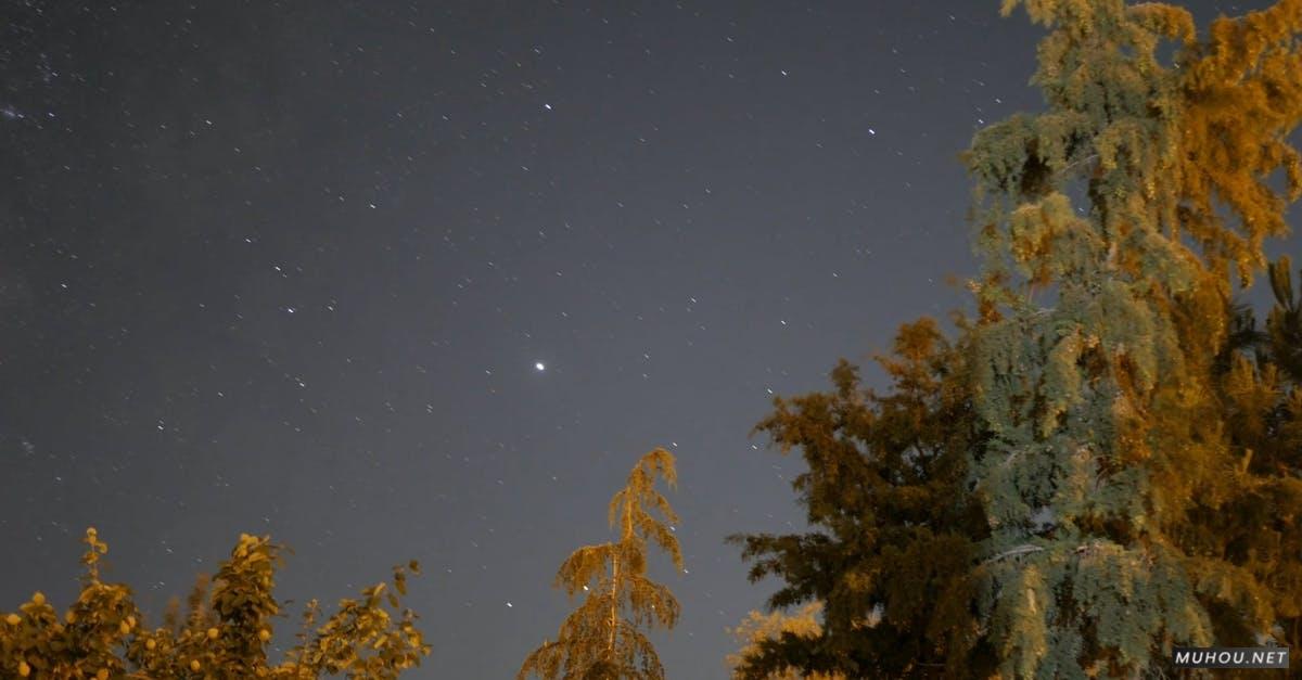 2915133|galaxy, 夜空星星树木延时摄影的CC0视频素材插图