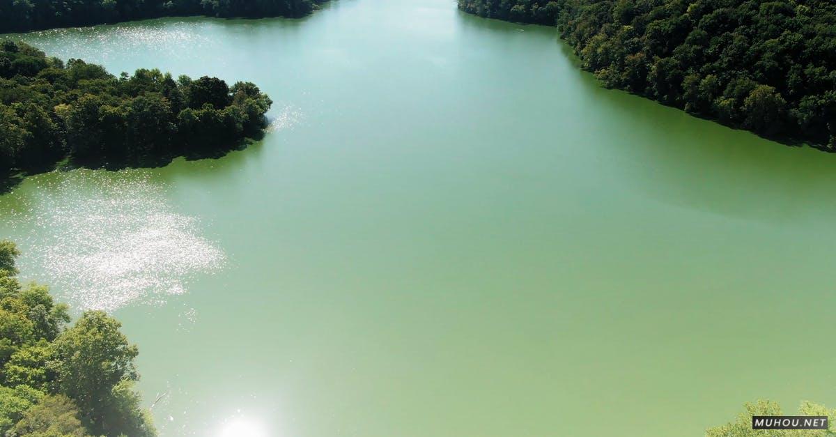 2835991|航拍绿色森林和湖水4KCC0视频素材插图