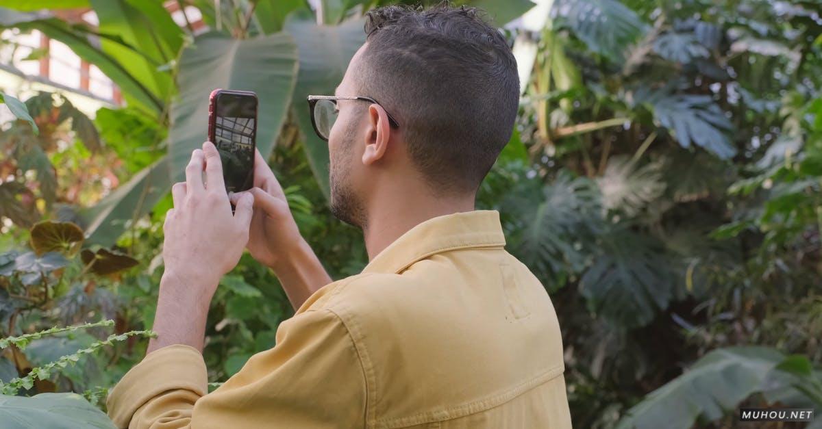 3253969|男人在植物园使用智能手机拍照4KCC0视频素材