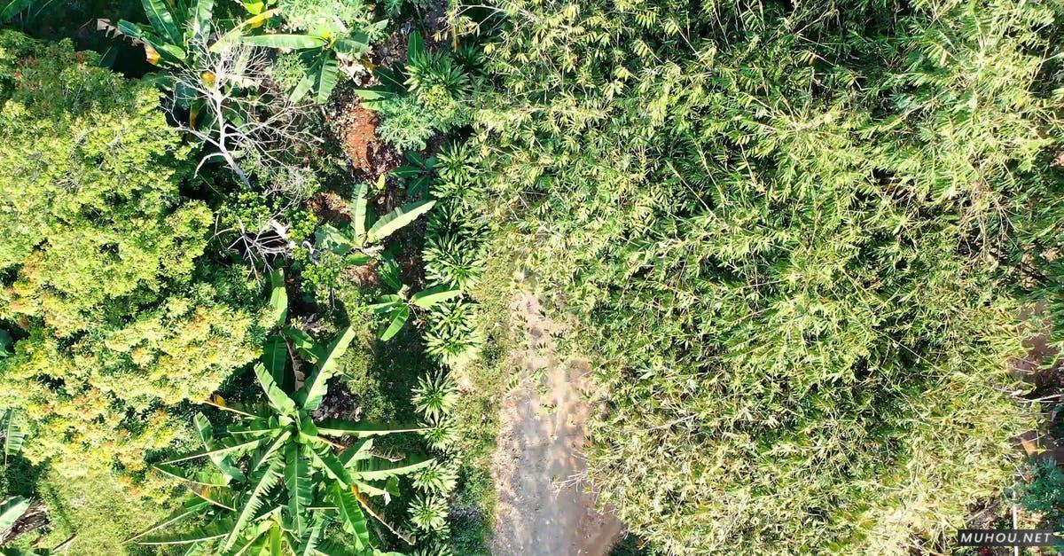 3333500|航拍农村乡村公路摩托车屋顶4KCC0视频素材插图