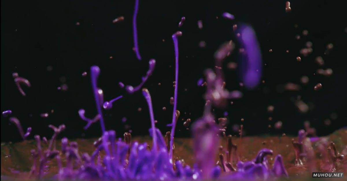2541975|紫色墨水飞溅在黑色背景特写的CC0视频素材