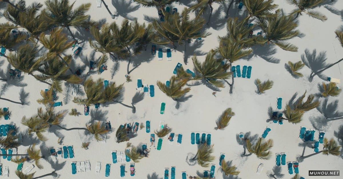 3576316|有关加勒比海, 天堂, 度假村白沙滩4KCC0视频素材插图