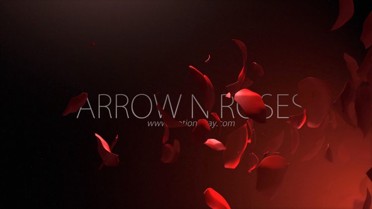 AE模板|箭和玫瑰华丽花瓣视觉logo视频模板#Arrow N Roses