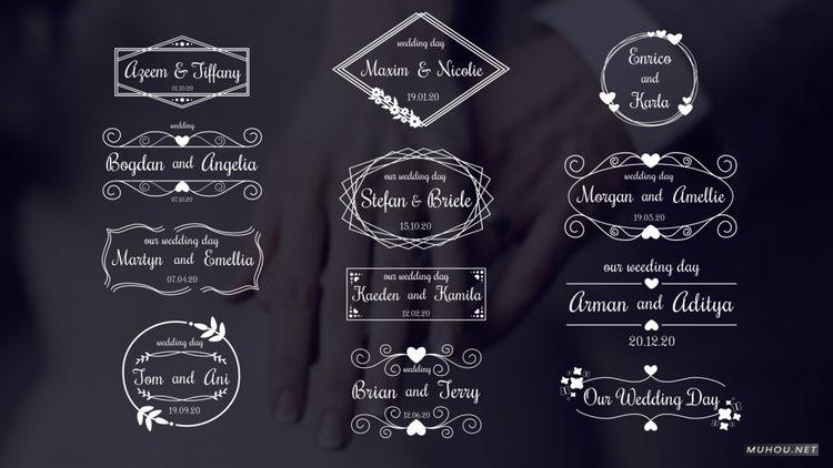 AE模板|12套豪华婚礼花纹贺卡文字视频模板#Wedding Titles Pack