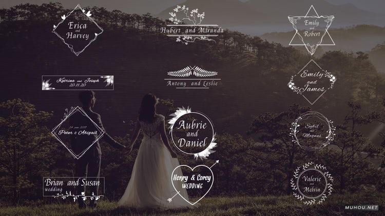 AE模板|华丽婚礼4k花纹全屏标题模板#Gorgeous Wedding Titles 4k插图