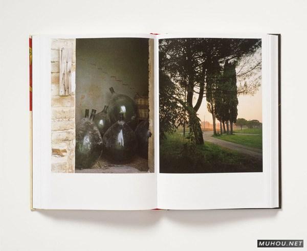 意大利夏日食谱-油画风格菜谱设计[15P]