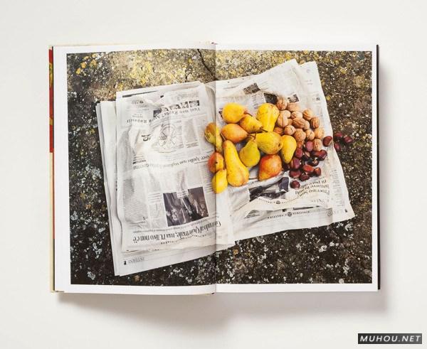 意大利夏日食谱-油画风格菜谱设计[15P]