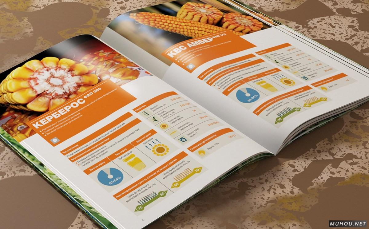 全本绿色农业农产品玉米水稻种子粮食画册设计 [55P]