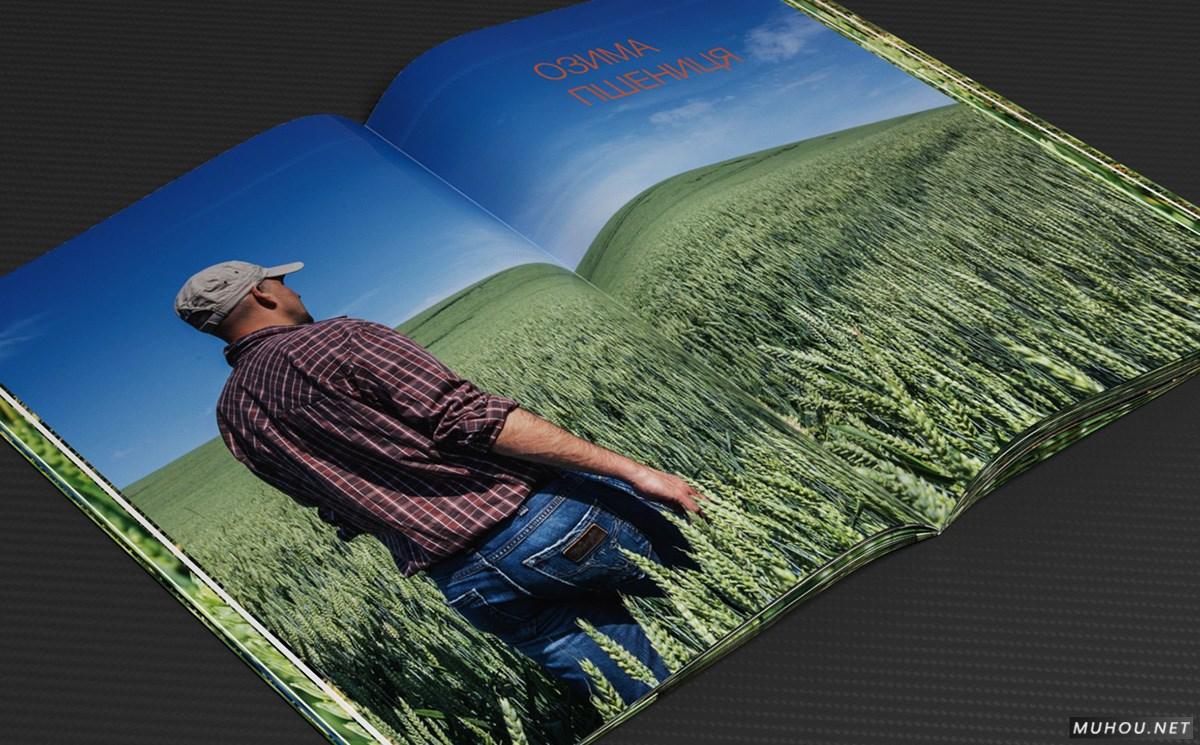 全本绿色农业农产品玉米水稻种子粮食画册设计 [55P]
