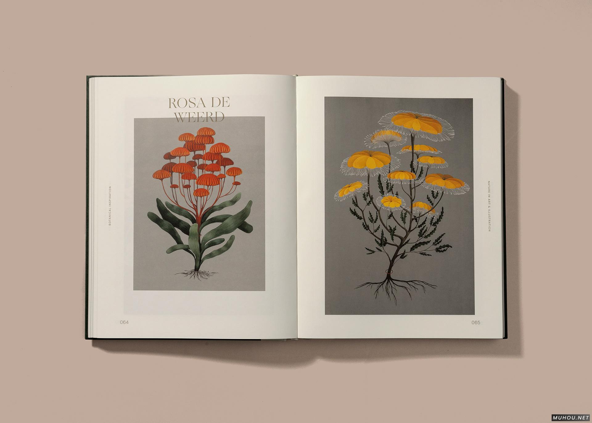 植物灵感书籍设计