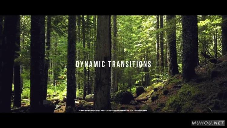 AE模板|动态转换视频预设效果素材模板#Dynamic Transitions插图