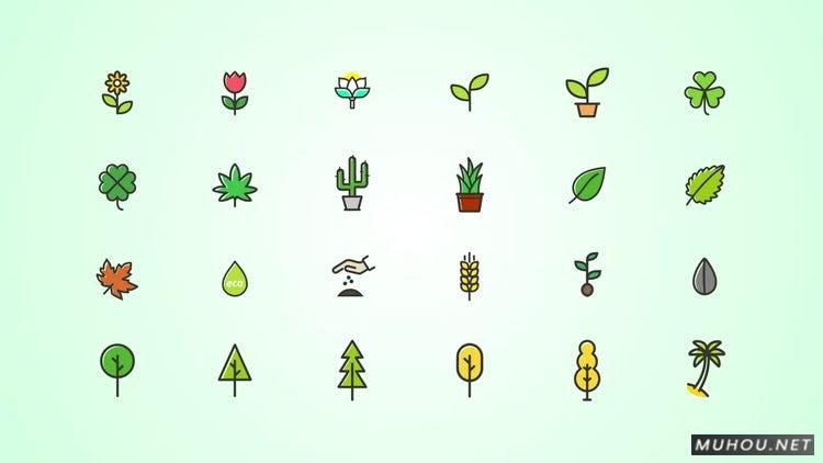 AE模板|48组植物，树木图标包动态视频模板#Plants, Trees Icons Pack插图
