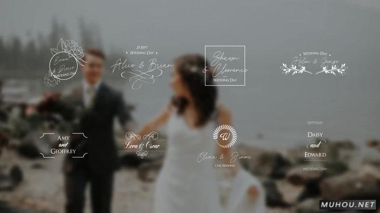 AE模板|婚礼礼包16套花纹文字动态视频素材模板#Wedding Titles Pack插图