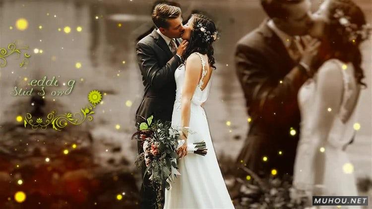AE模板|鲜花婚礼婚庆包装视频模板下载#Flower Wedding插图