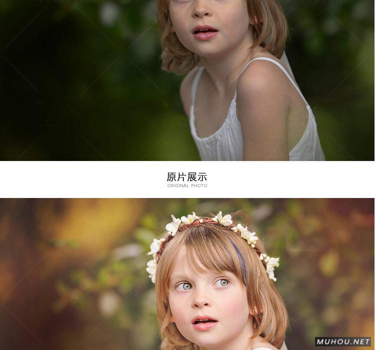 Luts调色预设：视频调色（LR-PR-AE-PS-FCPX-达芬奇）