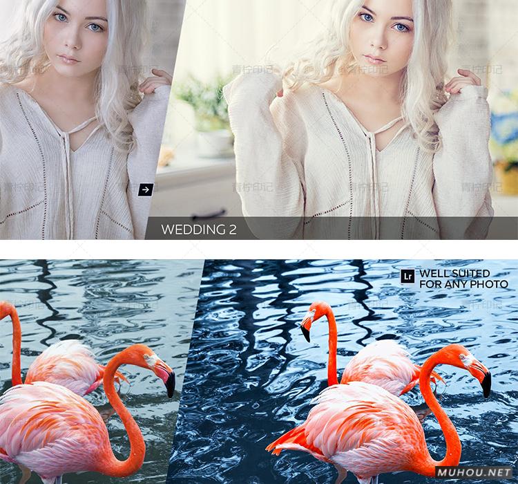 Luts调色预设：视频调色（LR-PR-AE-PS-FCPX-达芬奇）