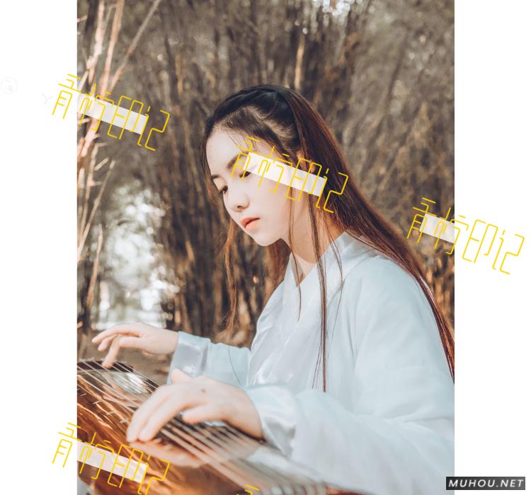 Luts调色预设：视频调色（LR-PR-AE-PS-FCPX-达芬奇）