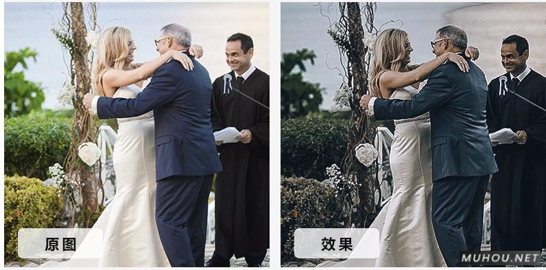 Luts调色预设：10套欧式复古婚礼效果视频调色（LR-PR-AE-PS-FCPX-达芬奇）插图2