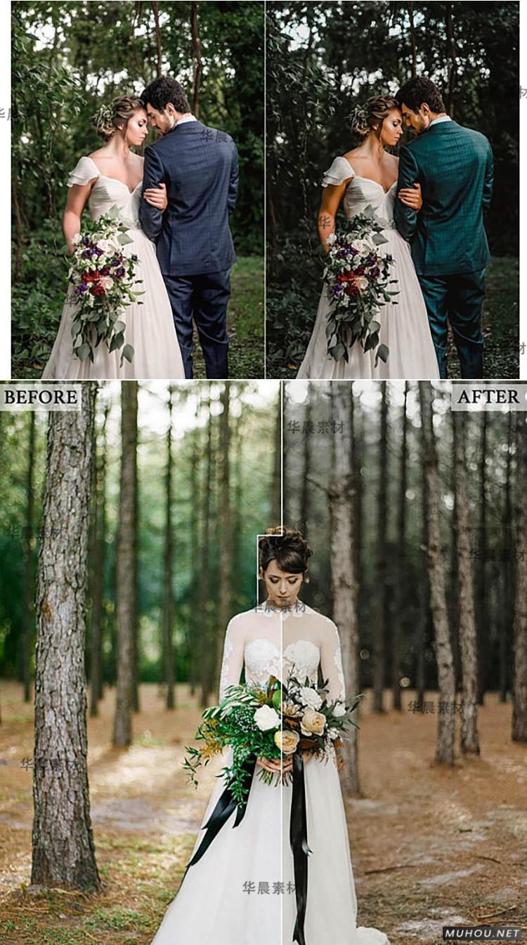 Luts调色预设：视频调色（LR-PR-AE-PS-FCPX-达芬奇）