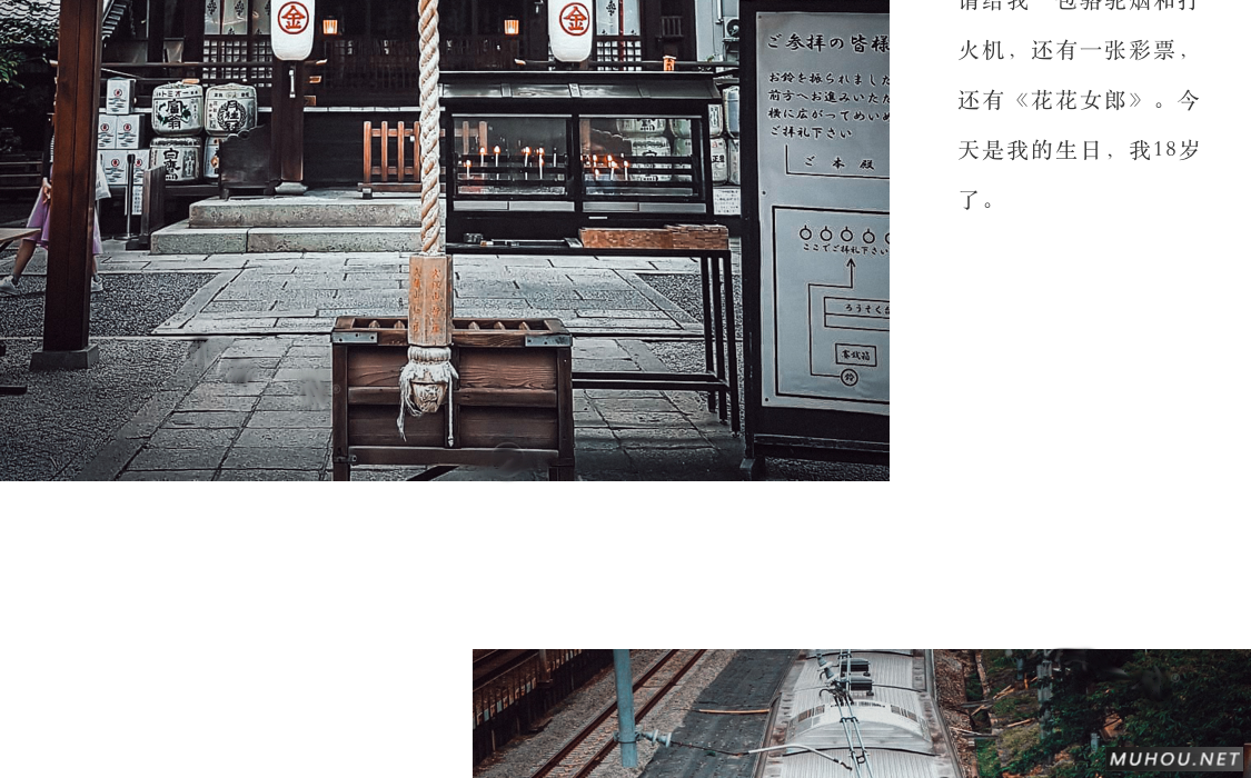 Luts调色预设：视频调色（LR-PR-AE-PS-FCPX-达芬奇）