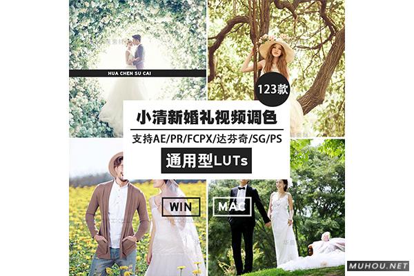 Luts调色预设：视频调色（LR-PR-AE-PS-FCPX-达芬奇）