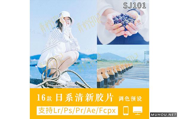 Luts调色预设：视频调色（LR-PR-AE-PS-FCPX-达芬奇）