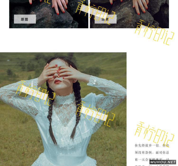 Luts调色预设：30组复古电影历史胶片预设视频调色滤镜（LR-PR-AE-PS-FCPX-达芬奇）