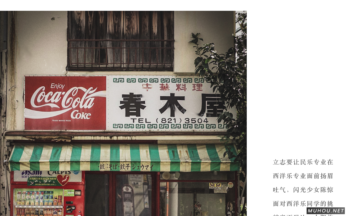 Luts调色预设：视频调色（LR-PR-AE-PS-FCPX-达芬奇）