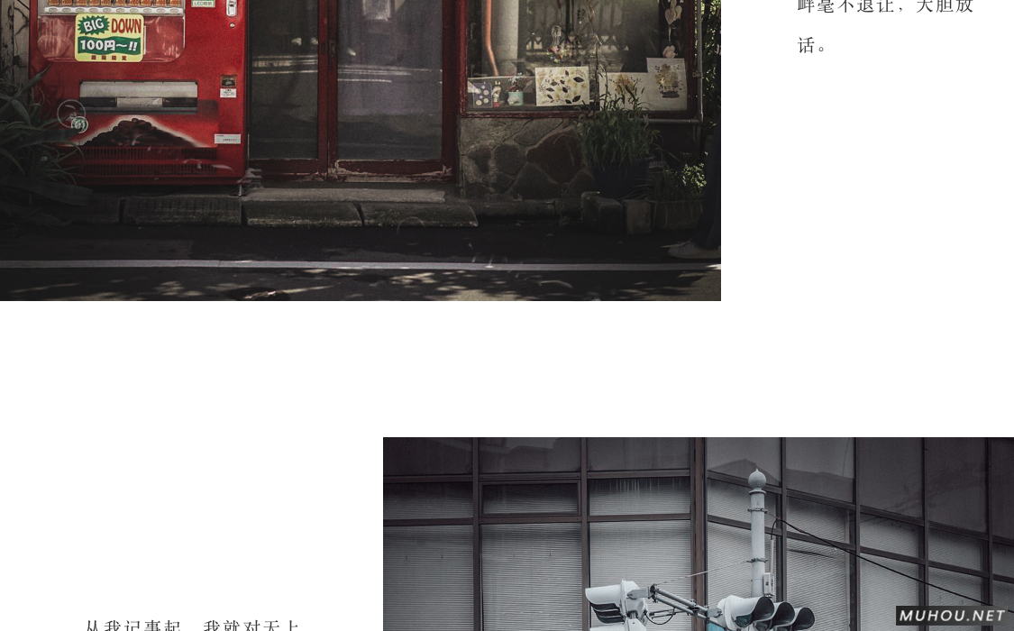 Luts调色预设：视频调色（LR-PR-AE-PS-FCPX-达芬奇）