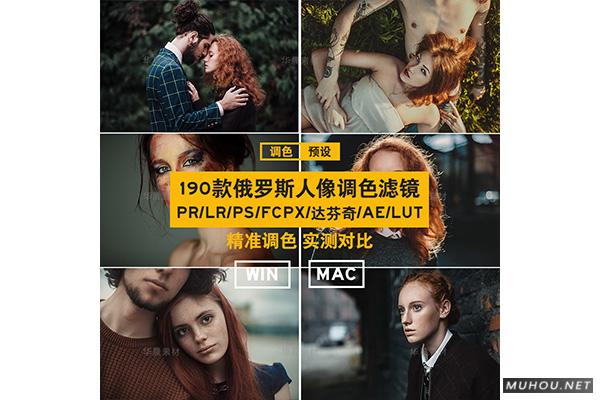 Luts调色预设：视频调色（LR-PR-AE-PS-FCPX-达芬奇）