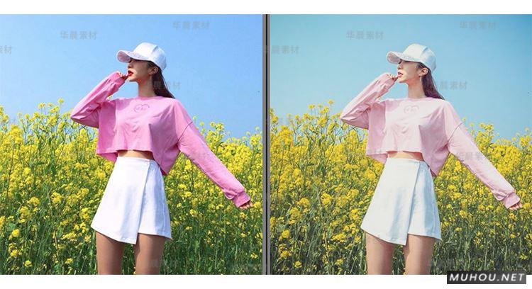 Luts调色预设：视频调色（LR-PR-AE-PS-FCPX-达芬奇）