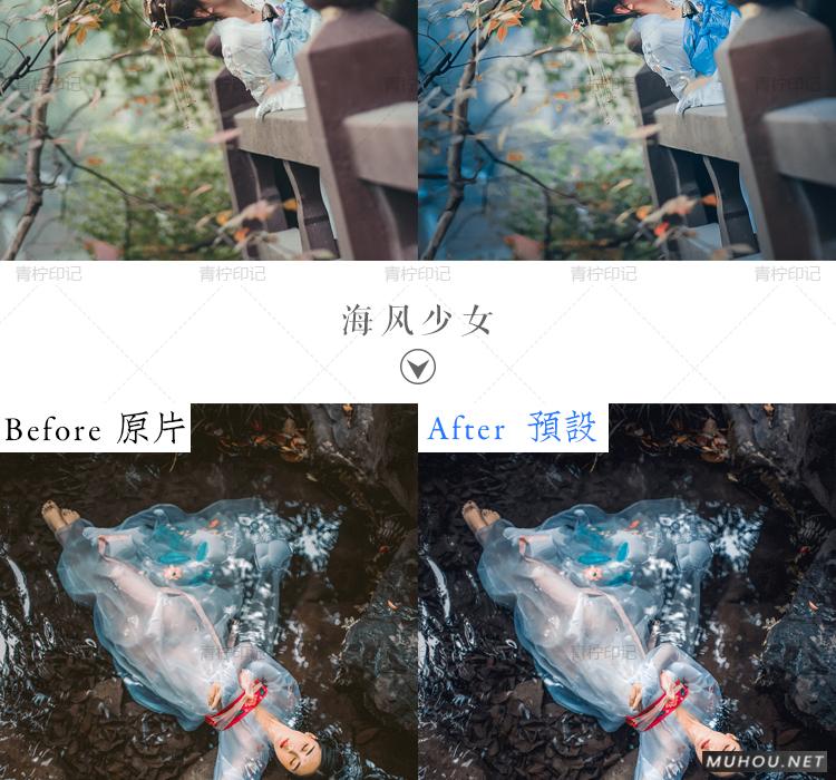 Luts调色预设：视频调色（LR-PR-AE-PS-FCPX-达芬奇）