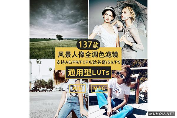 Luts调色预设：视频调色（LR-PR-AE-PS-FCPX-达芬奇）