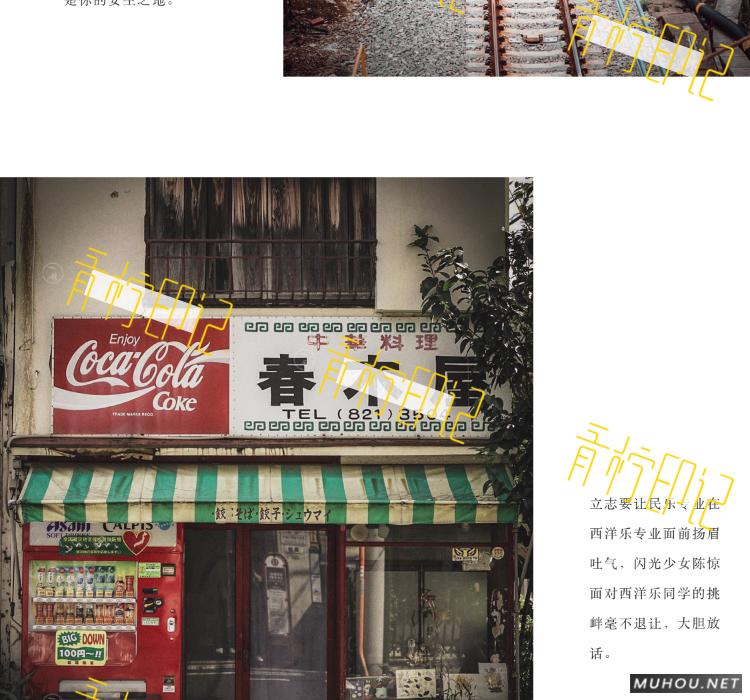 Luts调色预设：30组复古电影历史胶片预设视频调色滤镜（LR-PR-AE-PS-FCPX-达芬奇）