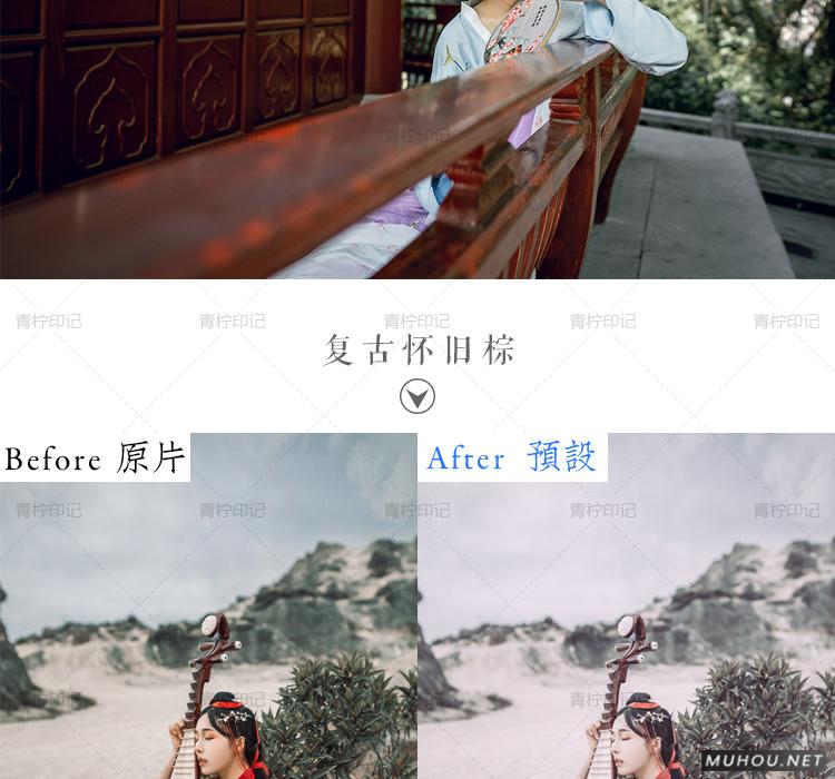 Luts调色预设：视频调色（LR-PR-AE-PS-FCPX-达芬奇）