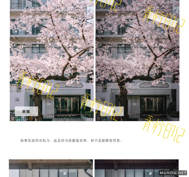 Luts调色预设：30组复古电影历史胶片预设视频调色滤镜（LR-PR-AE-PS-FCPX-达芬奇）